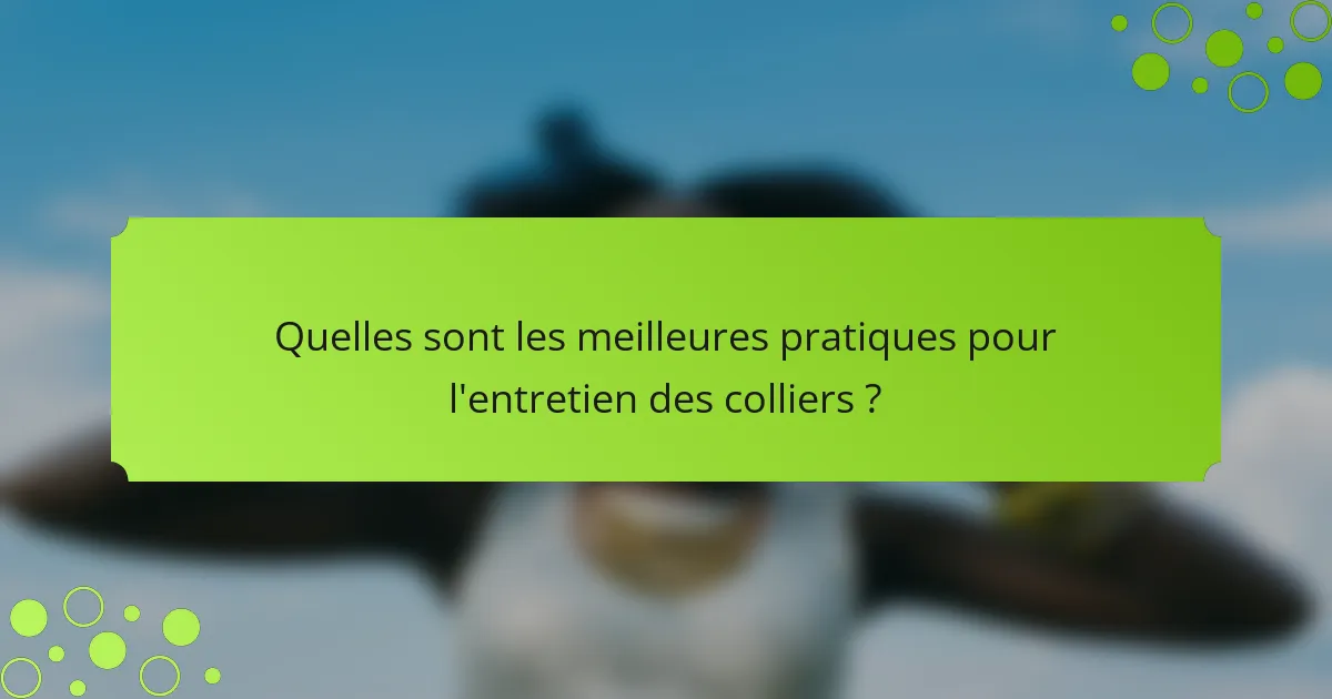 Quelles sont les meilleures pratiques pour l'entretien des colliers ?